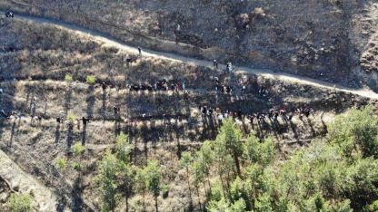 Minik eller ‘Yeşil Vatan’ için fidan dikti