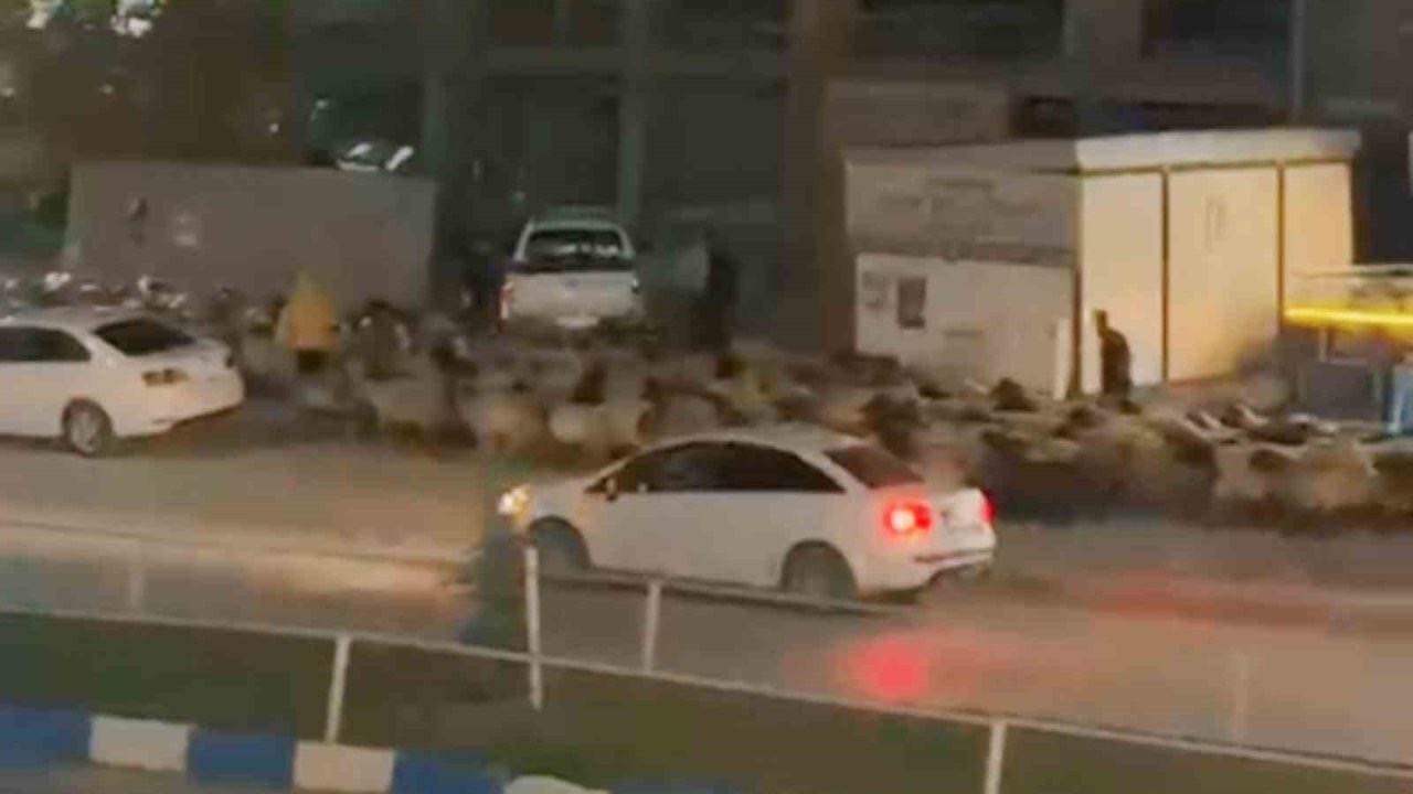 İşlek caddede koyun sürüsünün geçişi ilginç görüntüler oluşturdu