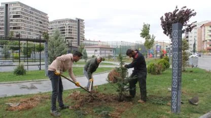 Kış yaklaştı belediye vites yükseltti