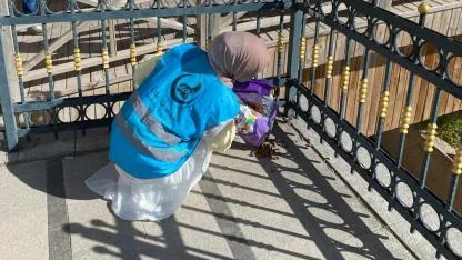 Ülkücülerden sokak hayvanlarına şefkat eli…
