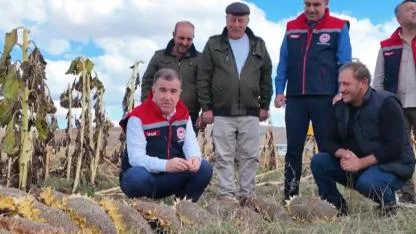 Vali Eldivan, Ayçiçeği Hasadına Katıldı: "Tarımın Gelişmesine Destek Olmaya Devam Edeceğiz"