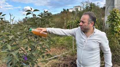 Kadife çiçeği ve soğanla kahverengi kokarcaya doğal çözüm