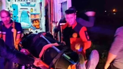 Mardin’de devrilen otomobildeki 3 kişi yaralandı