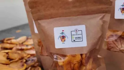 Honaz’ın meşhur cennet hurmasının cips olarak sofralara yolculuğu başladı