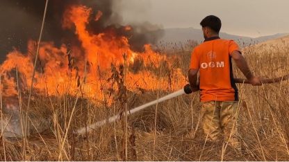 Yüksekova kuş cenneti alevlere teslim: Yangın kontrol altına alınamıyor