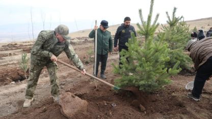 Şehit arkadaşlarının hatırasına 2 bin 400 rakımlı tepeye ağaç diktiler