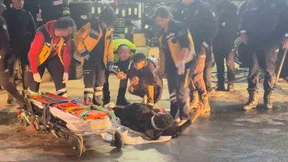 Kaçan sürücü polis aracına çarptı: 2 yaralı