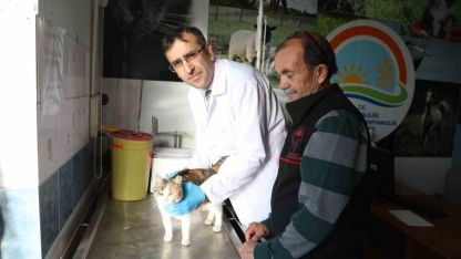 Uşak’ta kedi ve köpek sahiplerine mikroçip uyarısı