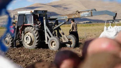 Çayıryolu'ndaki patates hasadına İranlı işçiler destek veriyor