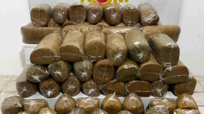 Minibüste 290 kilogram kaçak tütün ele geçirildi