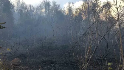 Artvin Hopa’da ziraat alanında çıkan yangın ormana sıçradı