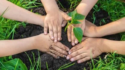 Ağaç dikmek için en doğru zaman açıklandı! Uzmanlar aynı cevabı verdi