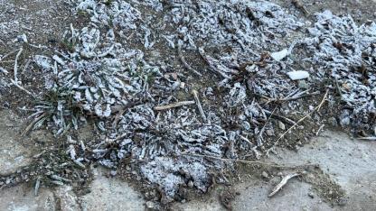 Bayburt sabahları kırağı ile uyanıyor