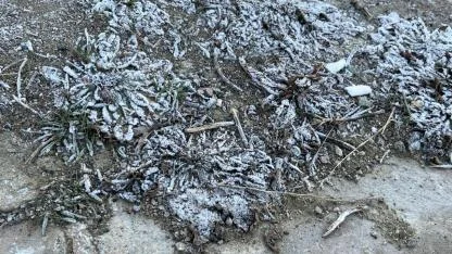 Bayburt sabahları kırağı ile uyanıyor