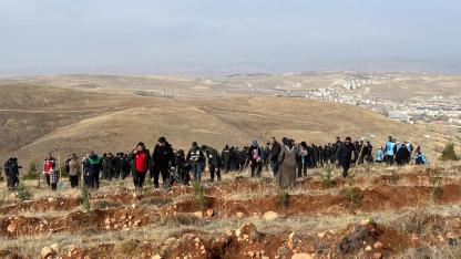 Bayburt’ta 4000 adet kuşburnu fidanı toprakla buluşuyor