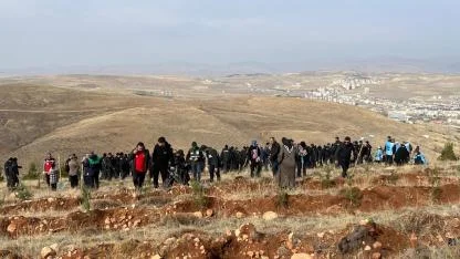 Bayburt’ta 4000 adet kuşburnu fidanı toprakla buluşuyor