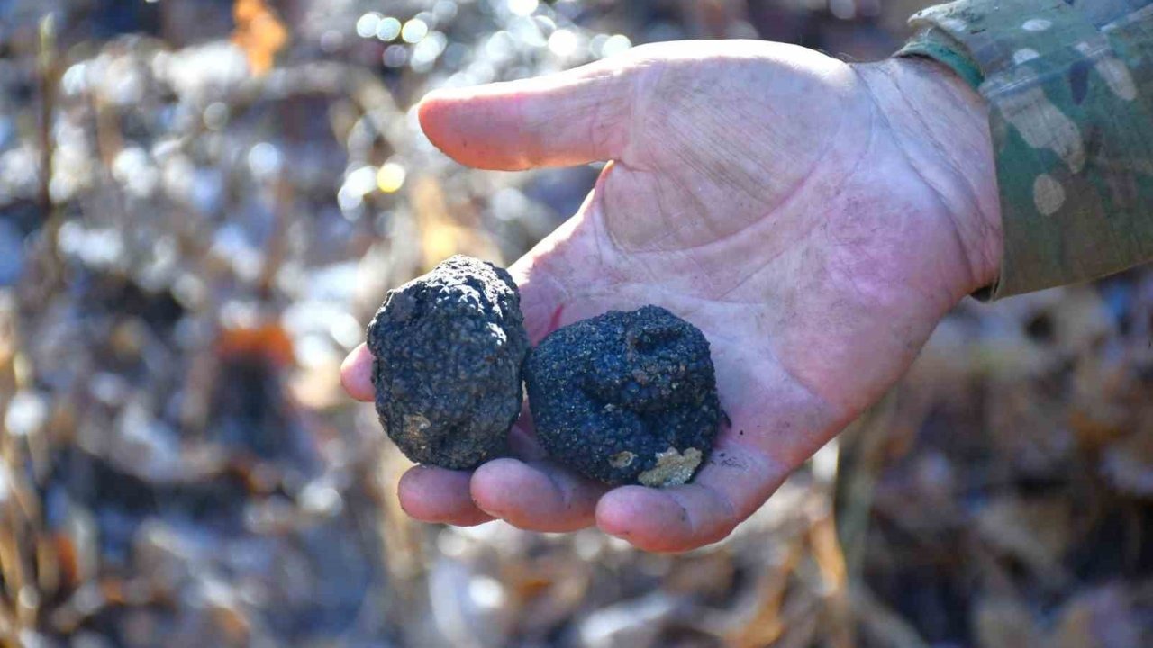 Bayburt&#039;ta ‘Kara Elmas’ keşfedildi