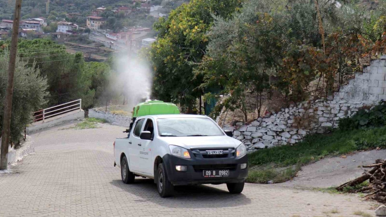 Bozdoğan’da karasinekle mücadele