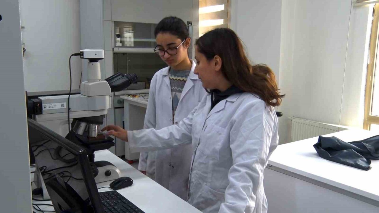 BTÜ’den Türkiye’de bir ilk: Lise öğrencileri bir ay boyunca üniversiteli oldu