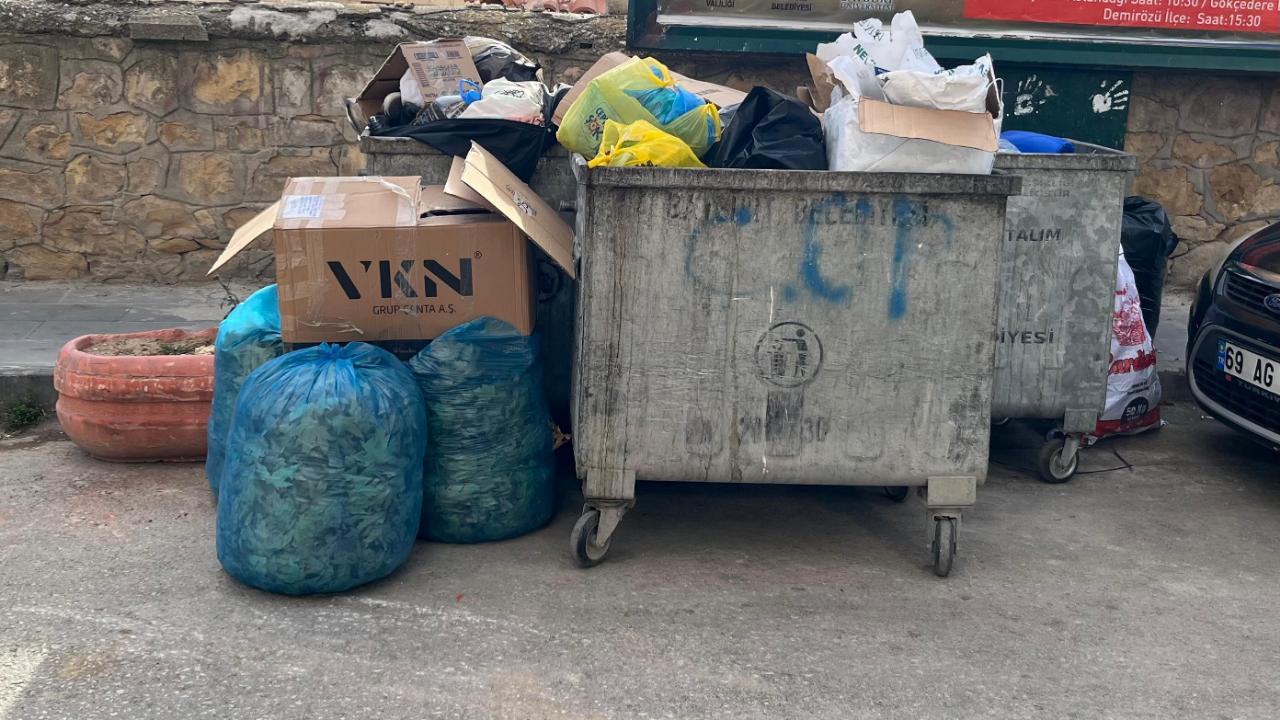 Bu yapraklar şehre geri kazandırılamaz mı?