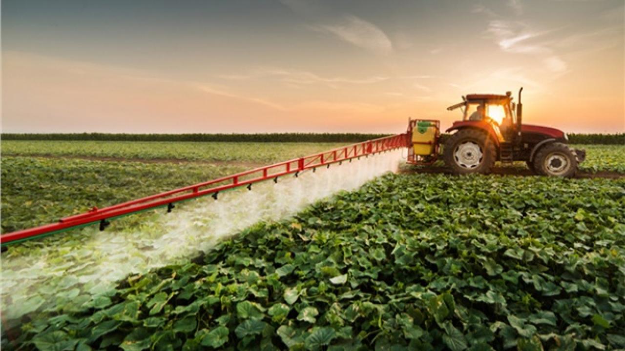 ÇKS başvuruları için son tarih yaklaşıyor!