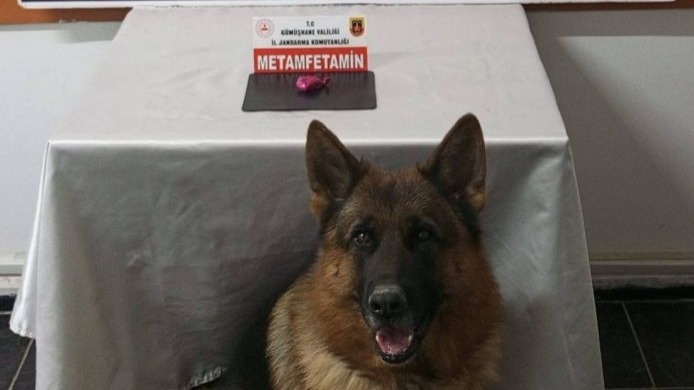 Gümüşhane’de uyuşturucu operasyonunda 2 şahıs yakalandı