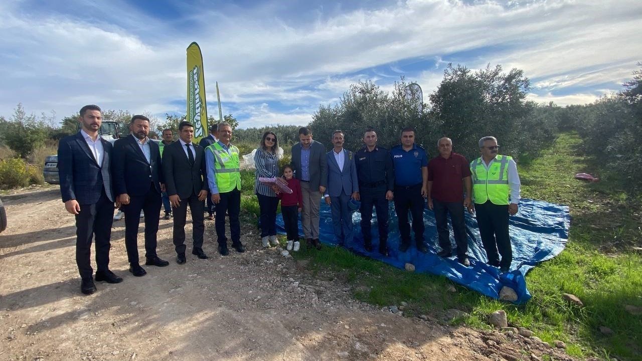 Osmaniye’de zeytin festivali