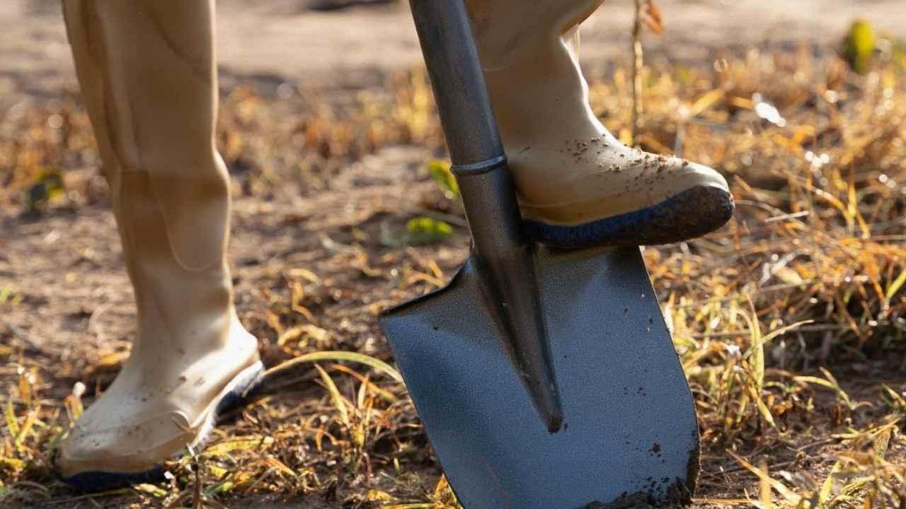 Sonbaharda toprağı kazmak büyük hata mı: Uzmanlar açıkladı