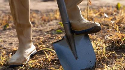 Sonbaharda toprağı kazmak büyük hata mı: Uzmanlar açıkladı