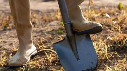 Sonbaharda toprağı kazmak büyük hata mı: Uzmanlar açıkladı