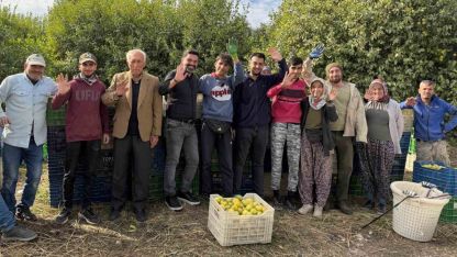 Binlerce ailenin geçim kaynağı limonun başkentinde hasat zamanı