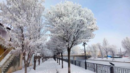 Arpalı Beldesi güne kar yağışıyla uyandı