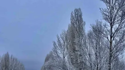 Gökçedere beyaz örtüyle kaplandı