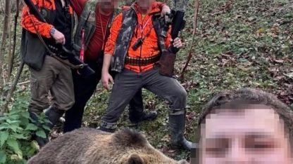 Evlere ve vatandaşlara zarar veren ayı için başlatılan av sonuç verdi, ilk ayı vuruldu