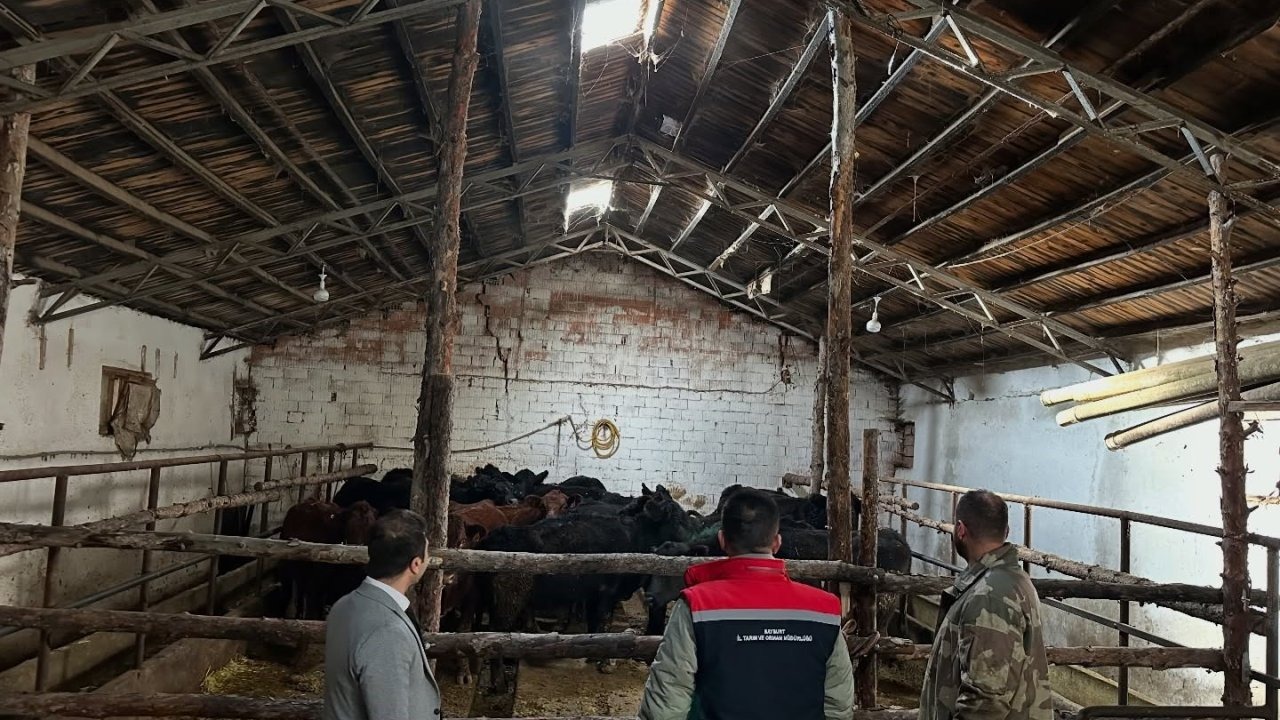 Aydıntepe’de ‘Kırsalda bereket’ başladı