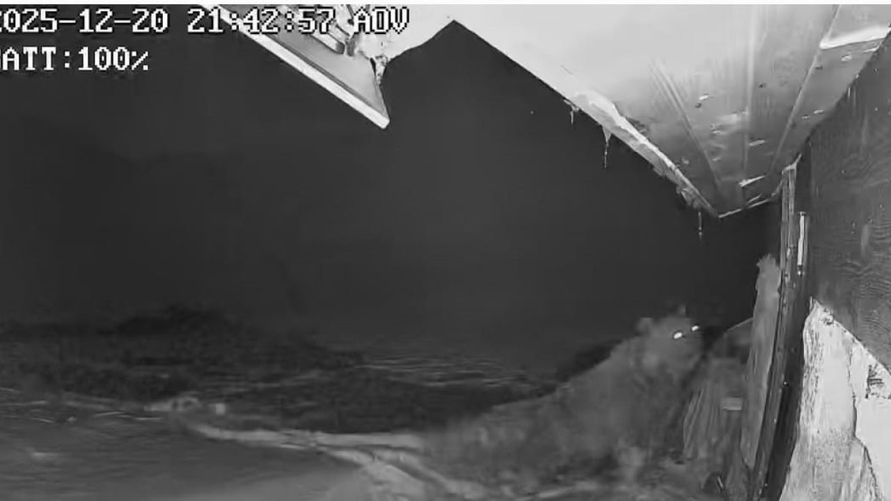 Ayılar kış uykusu nedir bilmiyor, yayla evlerine saldırıları sürüyor