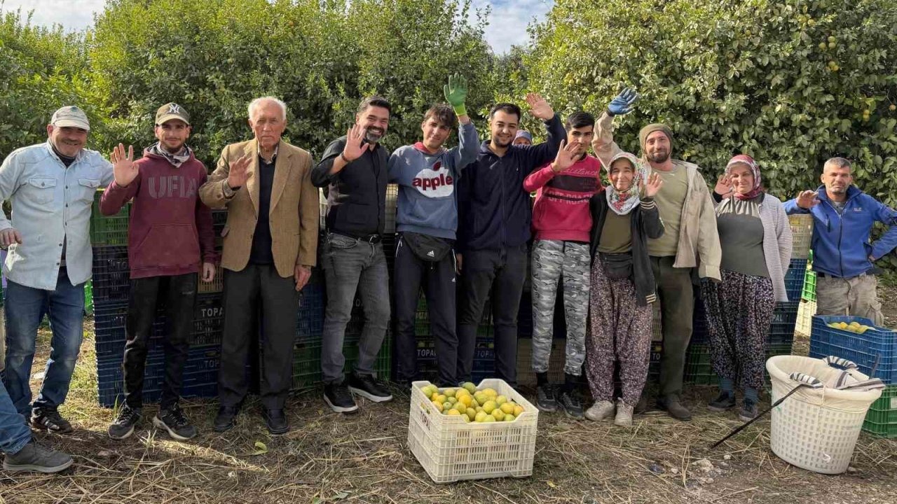 Binlerce ailenin geçim kaynağı limonun başkentinde hasat zamanı