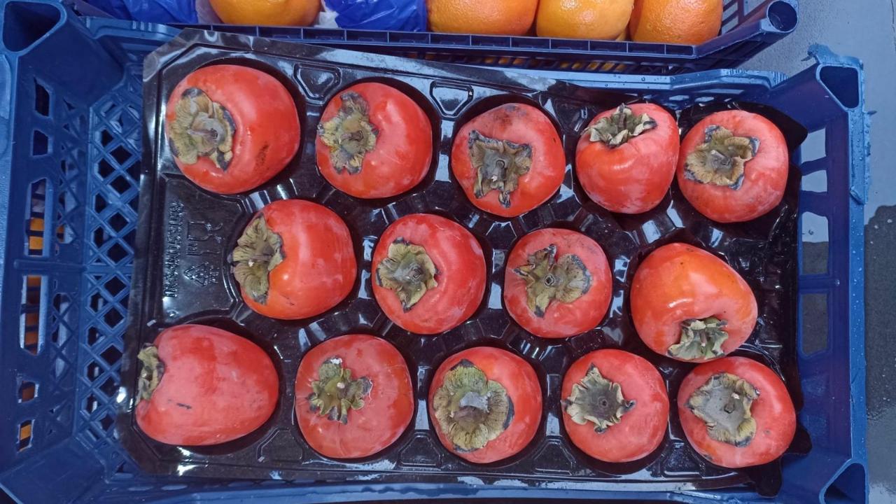 C vitamini deposu hurma 100 TL’yi buldu