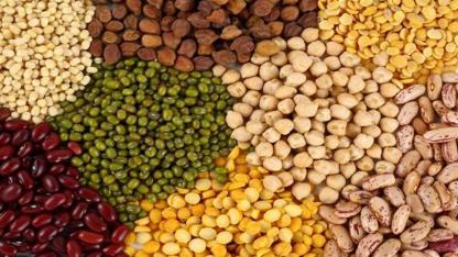 GIDA ÜRÜNLERİ SATIN ALINACAKTIR