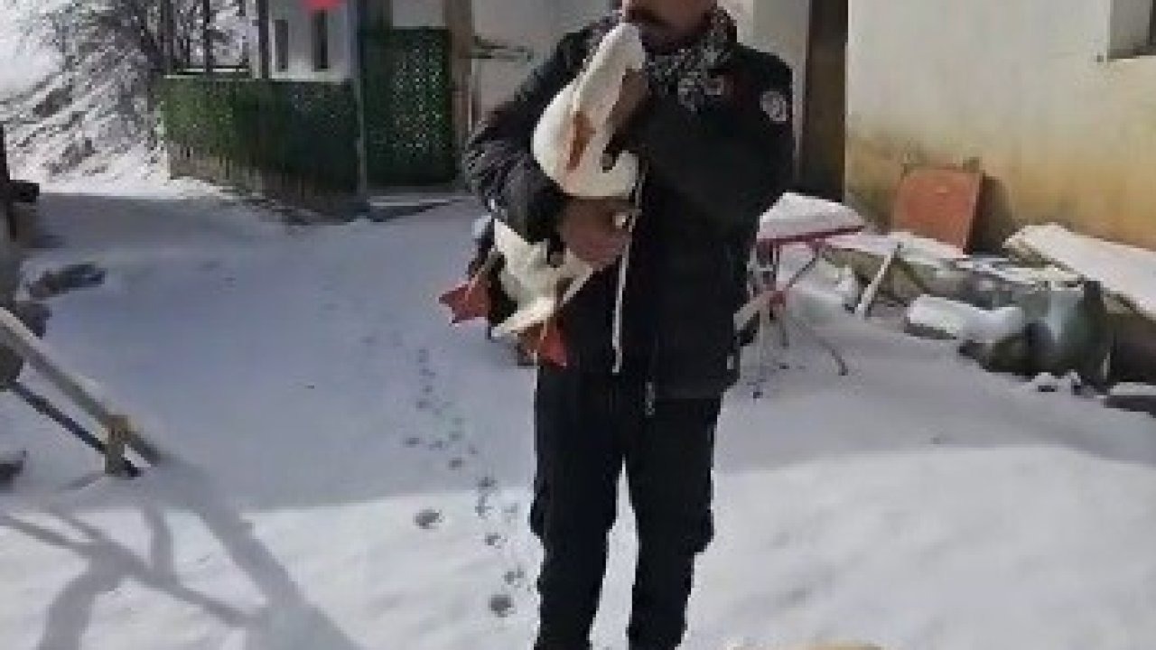 Kazından helallik istedi