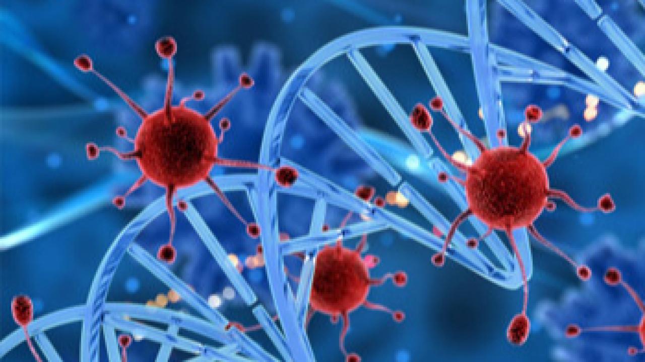 Verilerle kanser gerçeği: Bayburt, ölüm oranında ilk 5&#039;te!