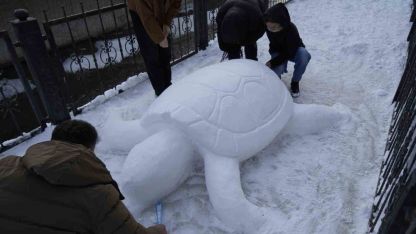 Gümüşhane’de "kardan kaplumbağa" ilgi odağı oldu