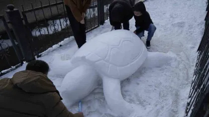 Gümüşhane’de "kardan kaplumbağa" ilgi odağı oldu