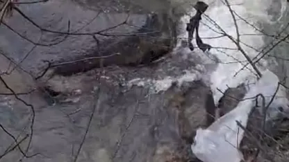 Dereli’de derede mahsur kalan köpek belediye ekiplerince kurtarıldı