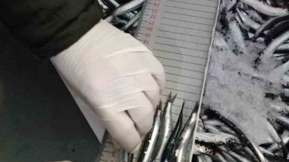 Trabzon’da 2025 yılında su ürünleri denetimlerinde 43 kişiye 3,2 milyon TL para cezası