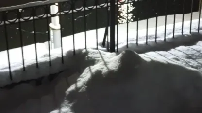 Su samuru bu kez eşiyle birlikte görüntülendi