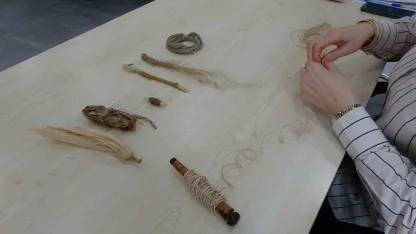 Mısır koçanı kıyafet oldu