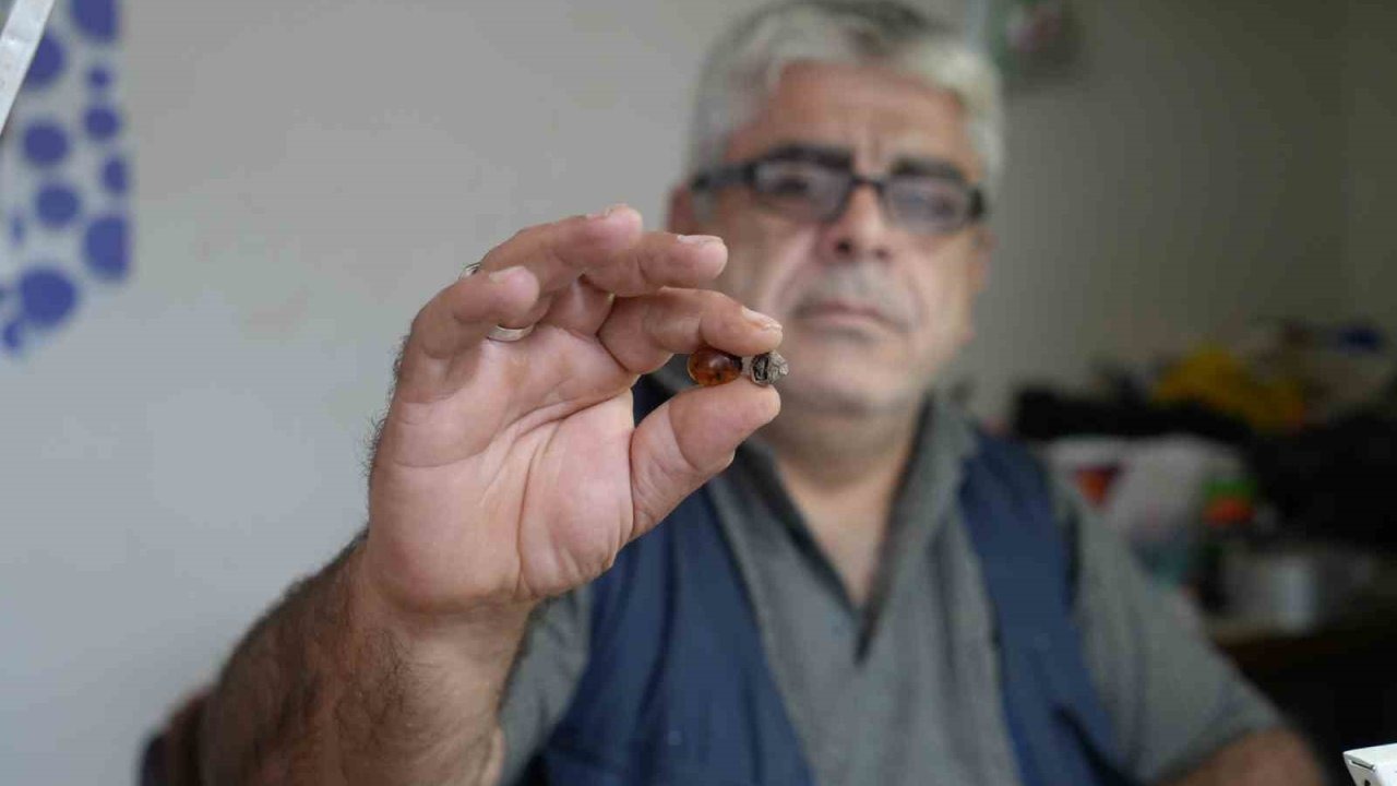 Atölyede keserken fark etti: Kehribar içinde milyon yıllık sır!