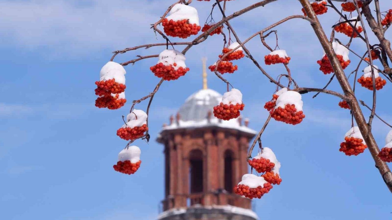 Buzlanma, don ve çığa dikkat