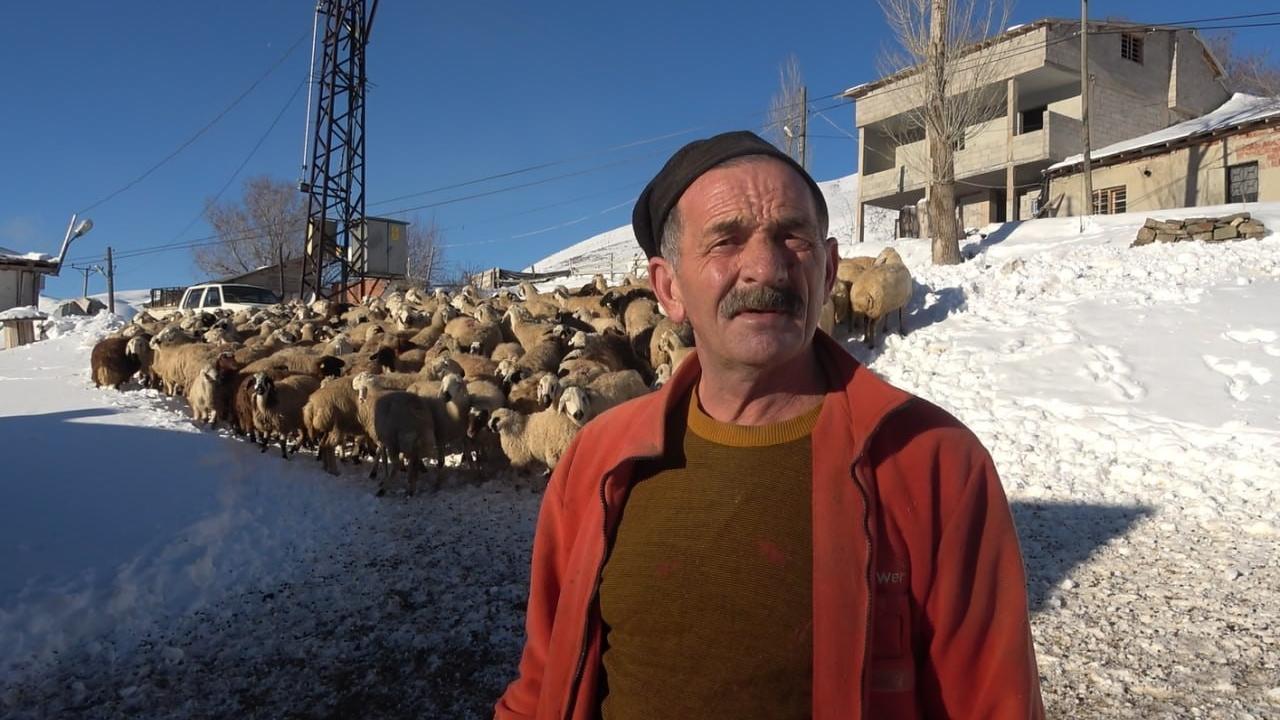 Eksi 25 derecede sevgi ısıtıyor: Emekli besicinin zorlu kış mesaisi